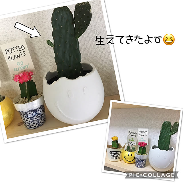 chi_kaさんの実例写真
