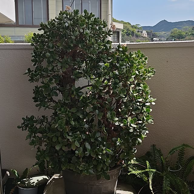 otibi.tt8787さんの部屋