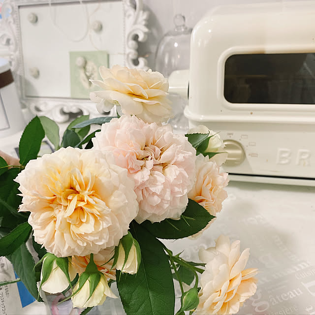 aym23さんの実例写真