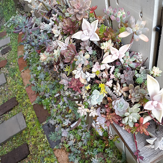 amtさんの実例写真