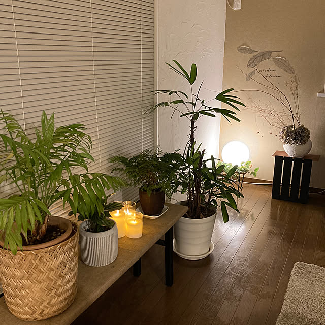 justyさんの部屋