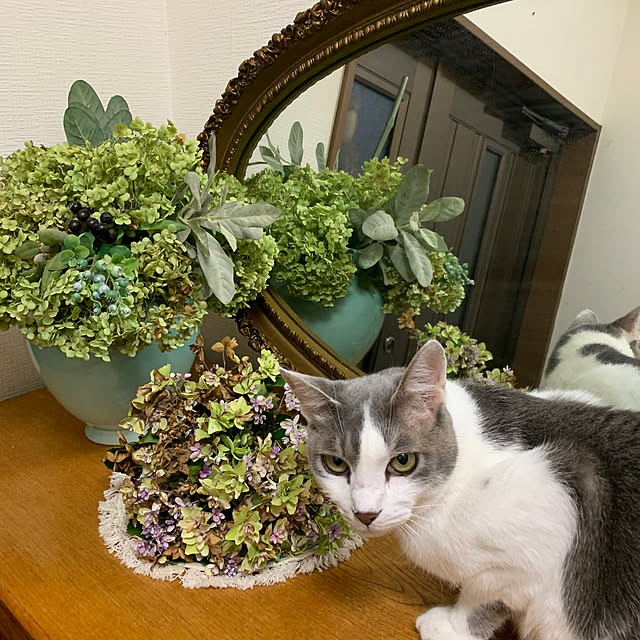 tekocyanさんの実例写真
