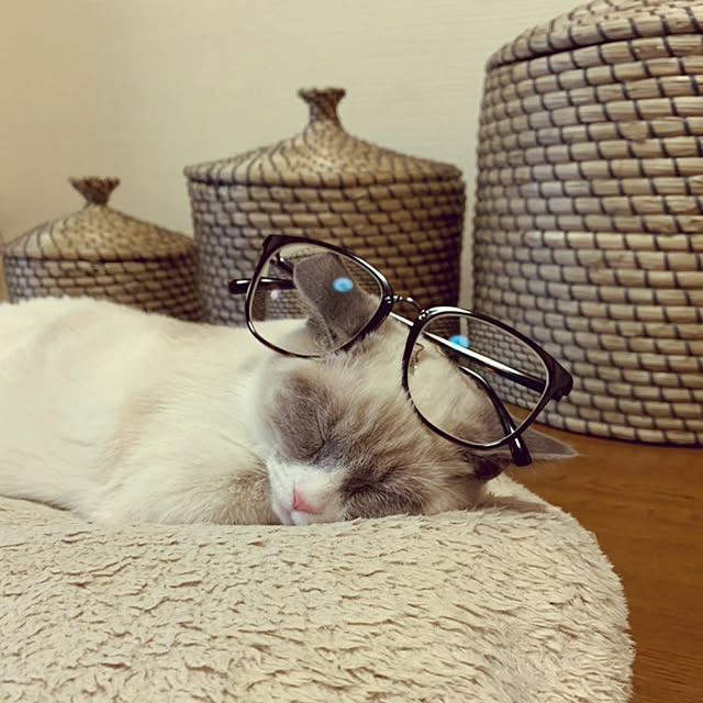 yukaringomushiさんの実例写真