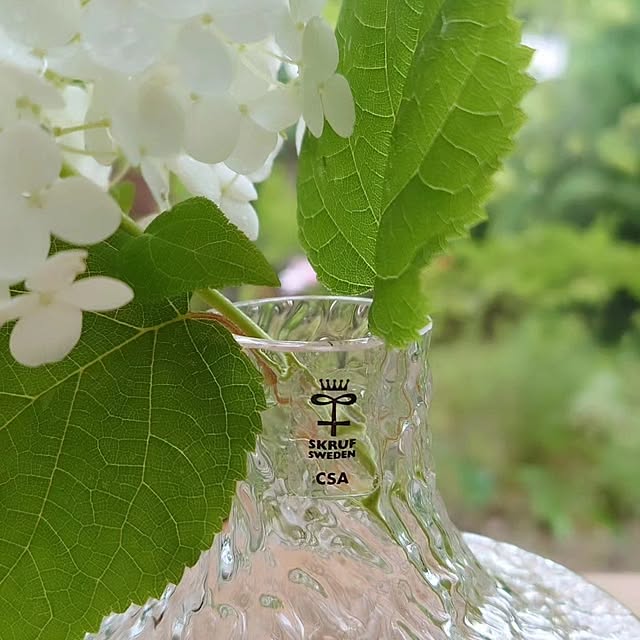 asmaさんの部屋