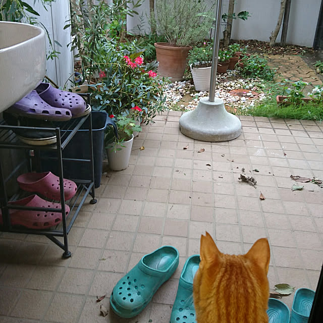 okyosan101さんの実例写真