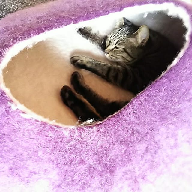 weさんの実例写真
