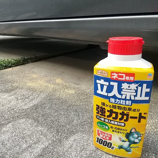 Rさんの部屋