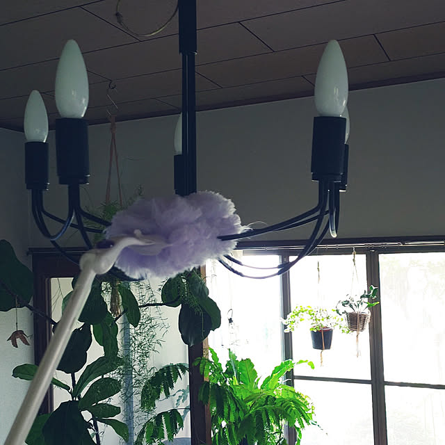 --rnrmm--さんの実例写真