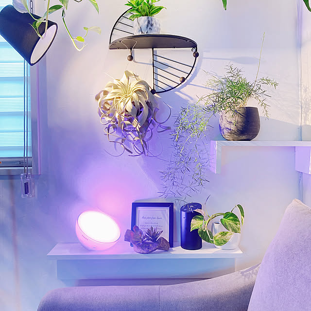 棚/Philips Hueアンバサダー/スマート家電/Philips Hue/インテリアグリーン...などのインテリア実例 - 2022-07-20 14:01:56