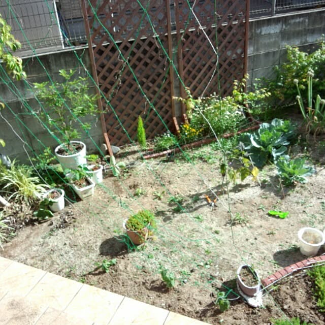 saya30riさんの実例写真