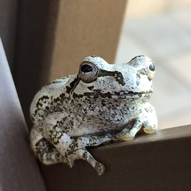 teraさんの実例写真