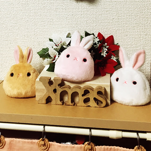 choriyomeさんの実例写真