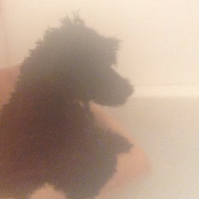 FXさんの実例写真