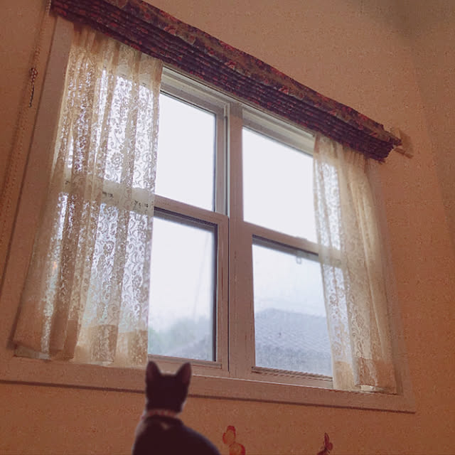 sweetさんの実例写真