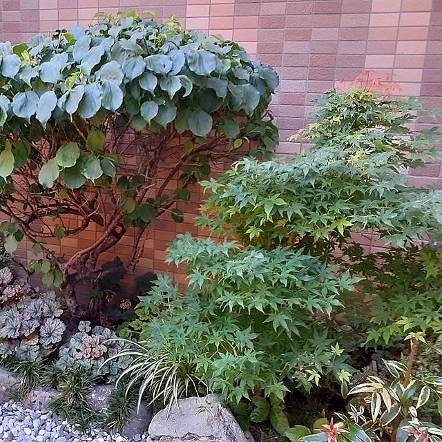 seijiさんの部屋