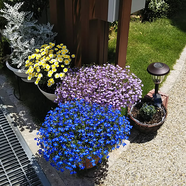 sarusaさんの実例写真