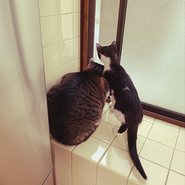 nanohanaさんの実例写真