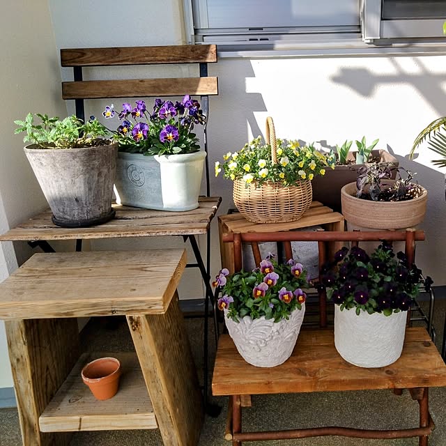 Petit_Pommierさんの部屋