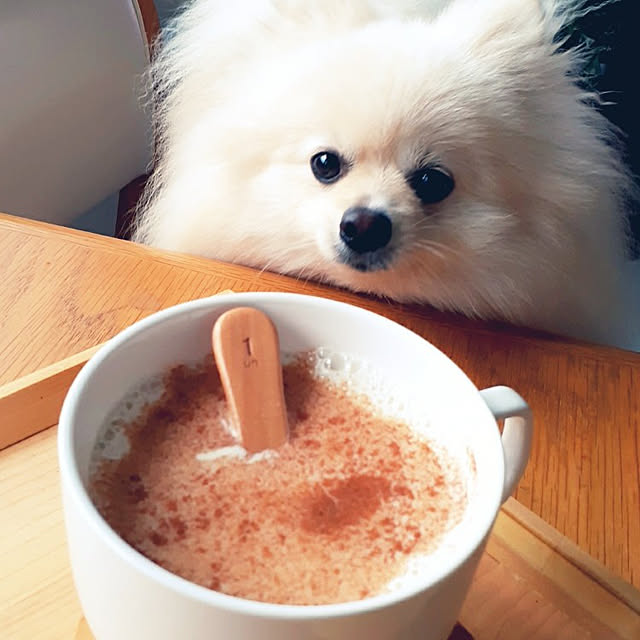 noahさんの実例写真