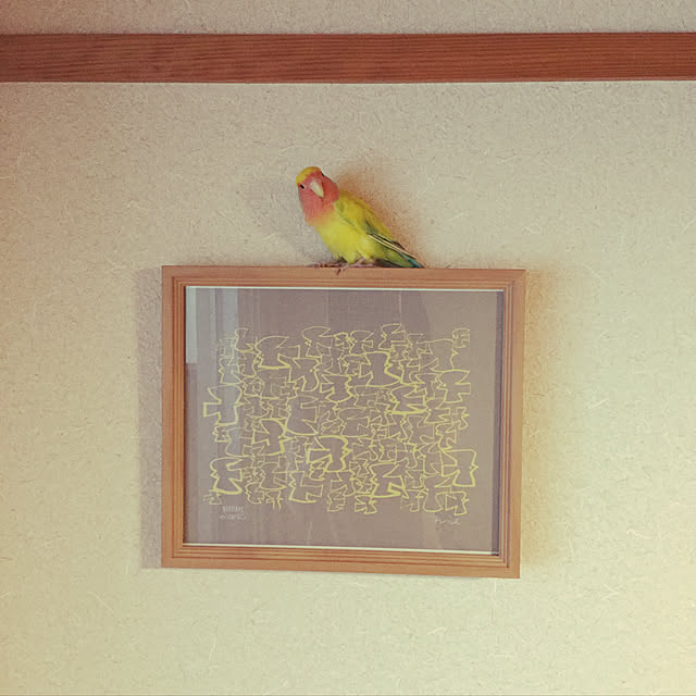 srpさんの実例写真