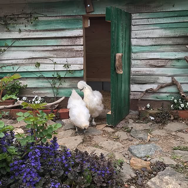 pepeさんの実例写真