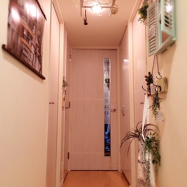 nonさんの実例写真