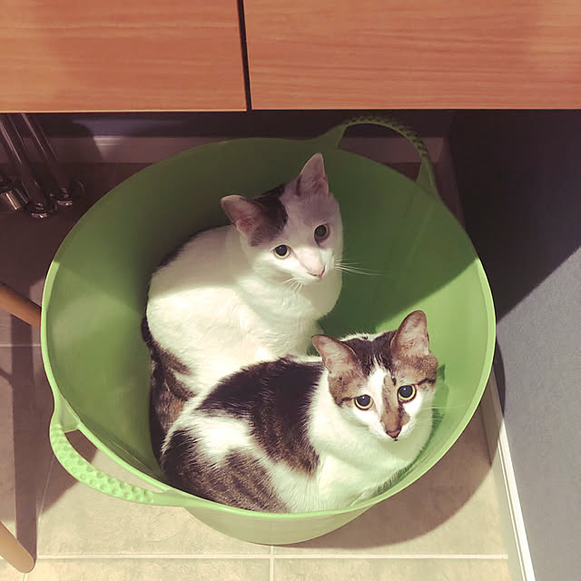 becci.comさんの実例写真
