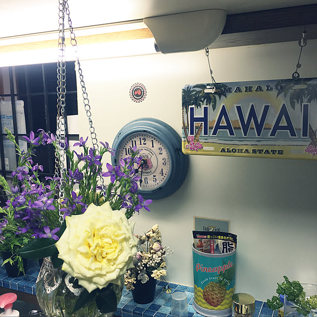 alohabaabaさんの実例写真