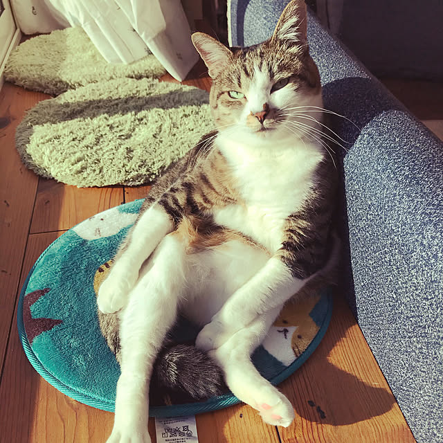 fukukoさんの実例写真