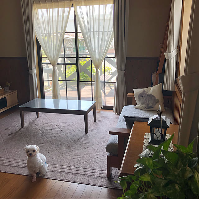 pino1227さんの実例写真