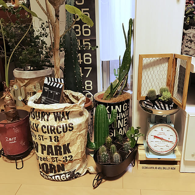 michi-michi39さんの実例写真
