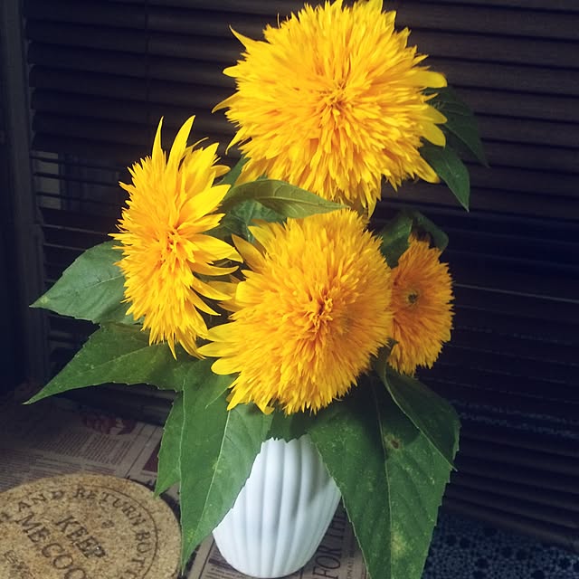 osakanaさんの実例写真