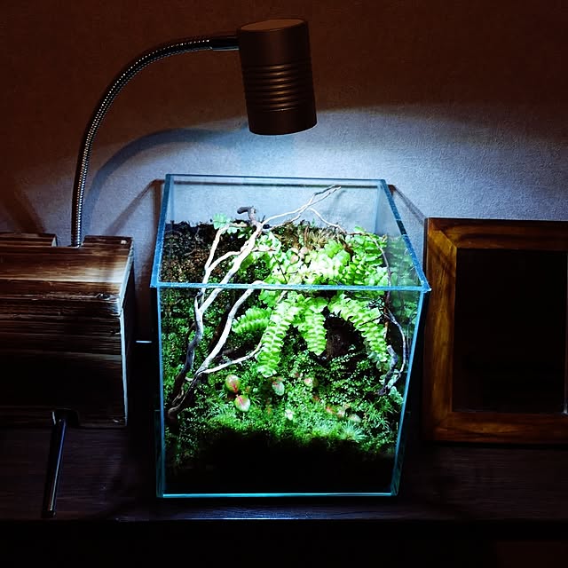 specialized_roubaixさんの実例写真