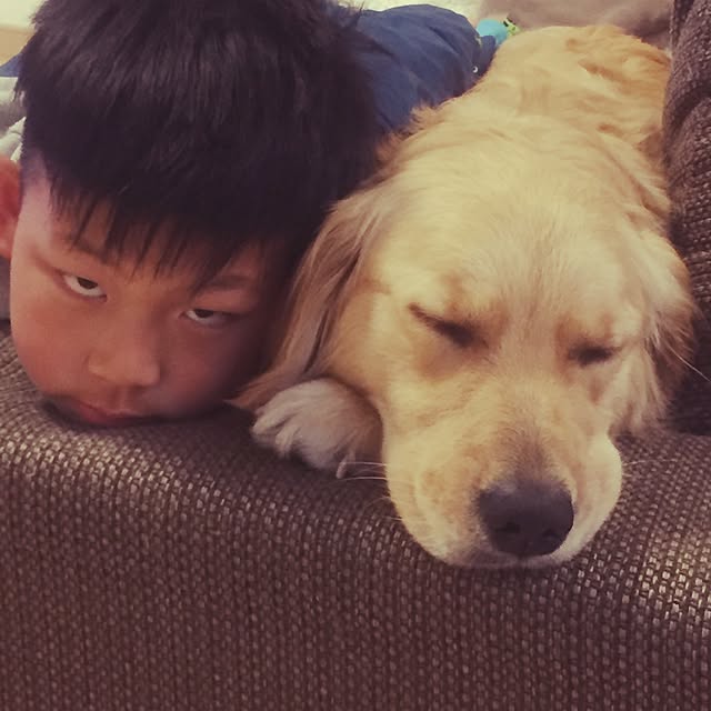 Kazueさんの実例写真
