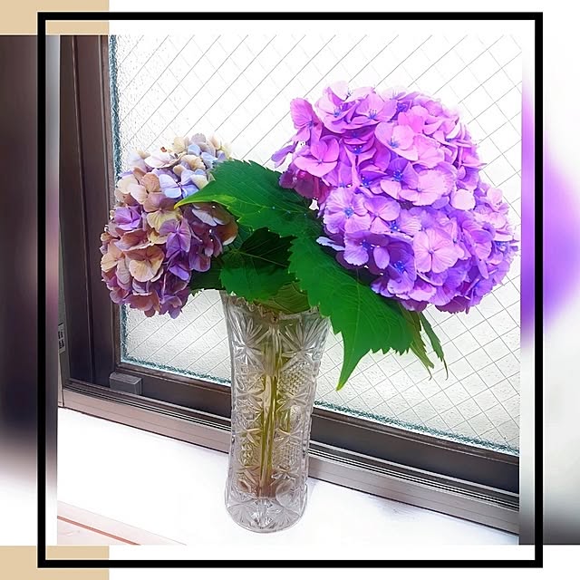 キッチン/いつもありがとうございます♡/梅雨/紫陽花/賃貸でも楽しく♪...などのインテリア実例 - 2024-07-01 18:05:16