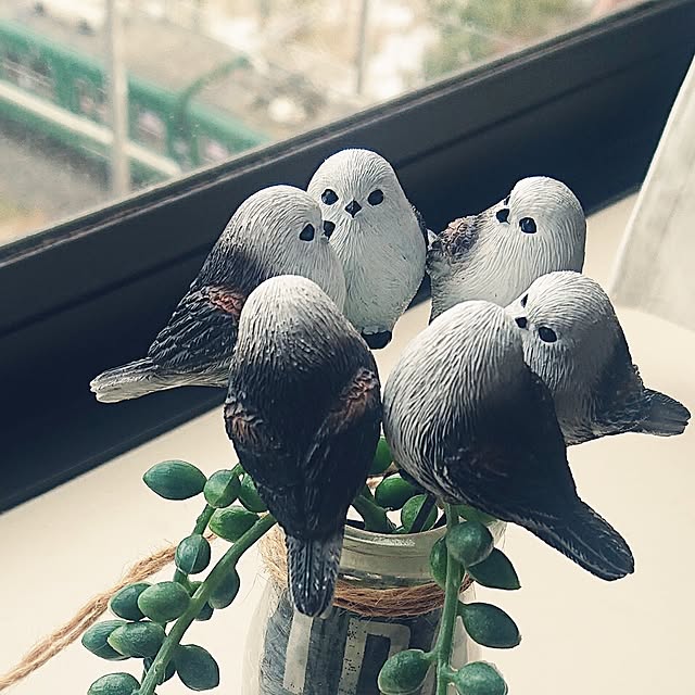 NOAHさんの部屋