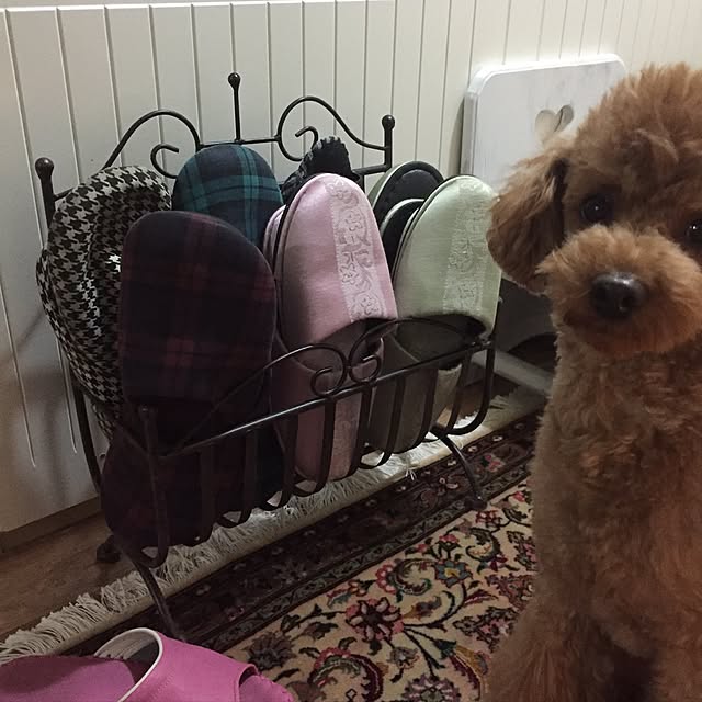 Naomiさんの実例写真