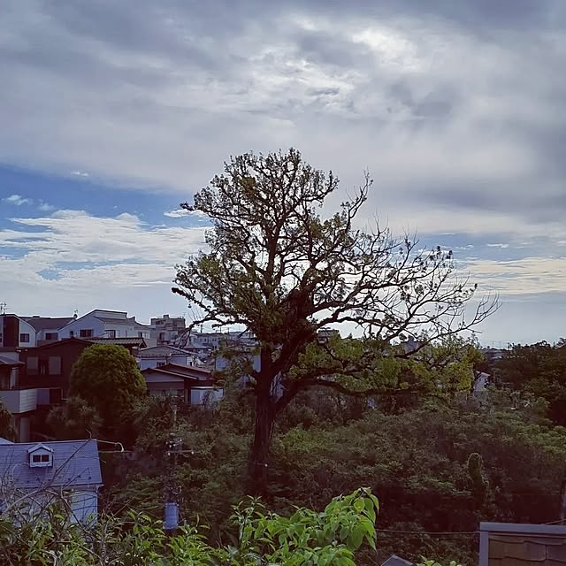takayasuさんの実例写真