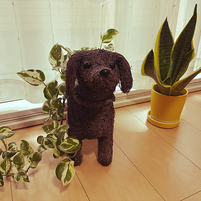 pinomiさんの実例写真