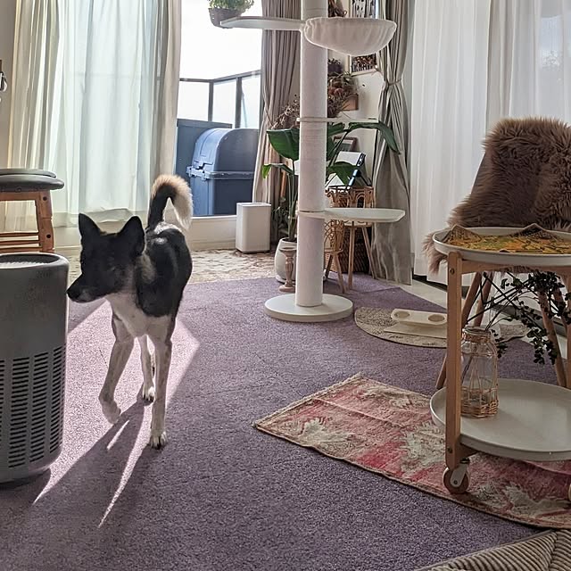 flannel.さんの部屋