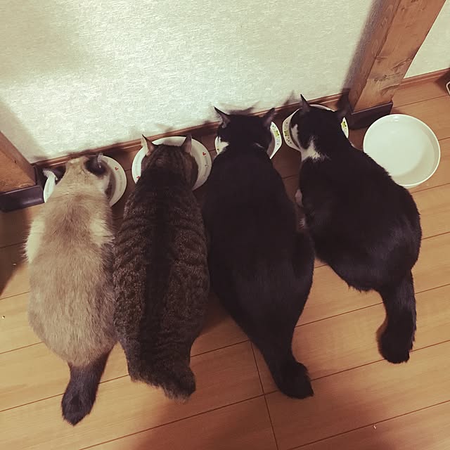 mari23さんの実例写真