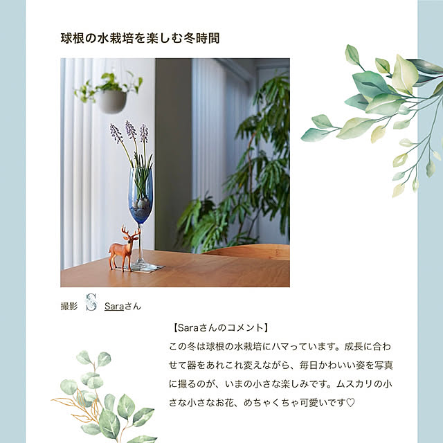 Saraさんの実例写真