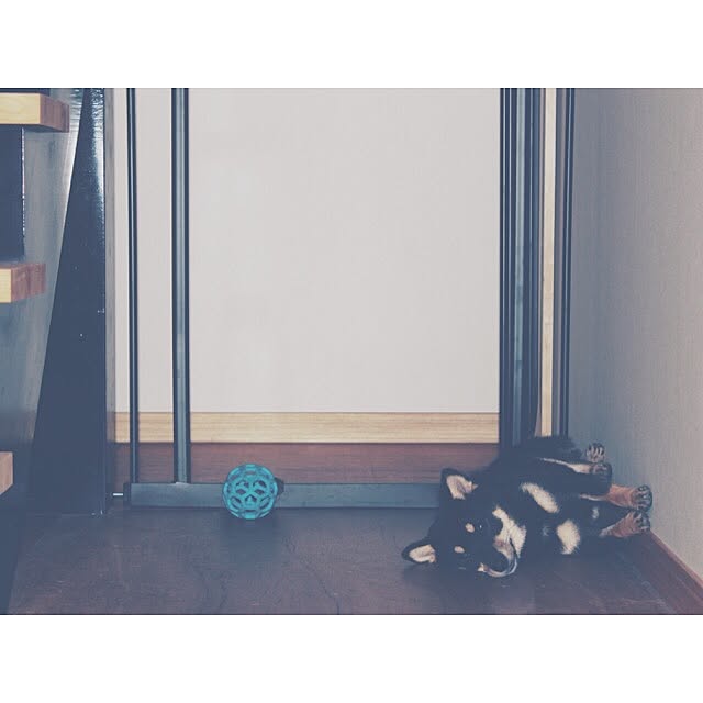 y3ta2omuさんの実例写真