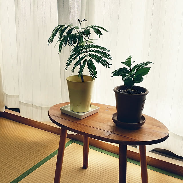 ws-reiさんの実例写真