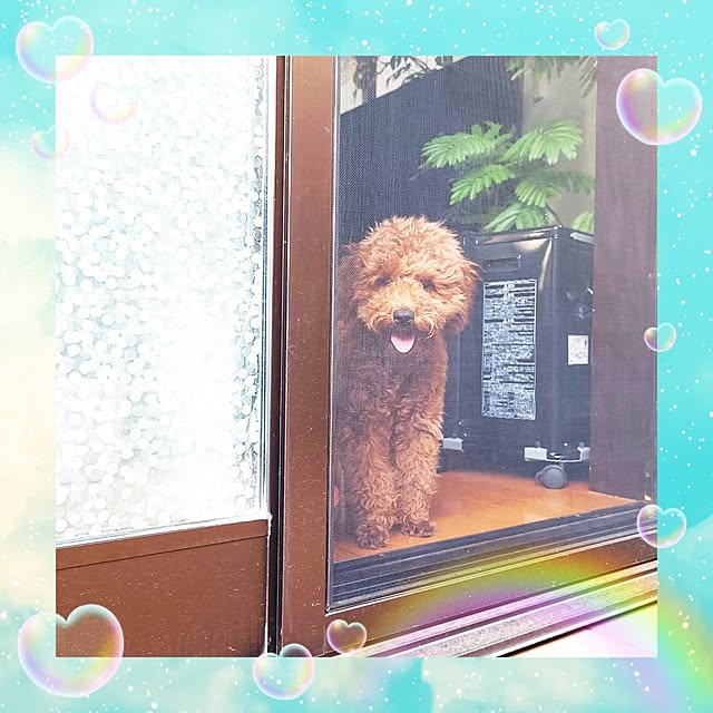 mimi828さんの実例写真
