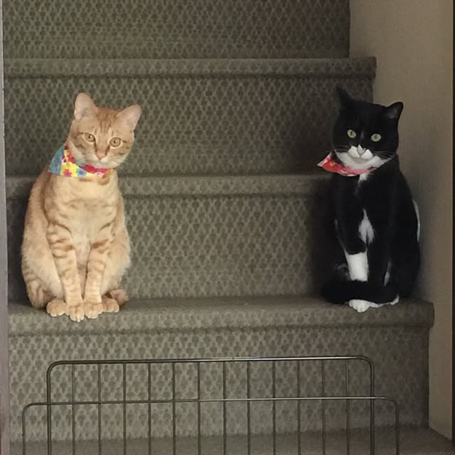 mtkさんの実例写真