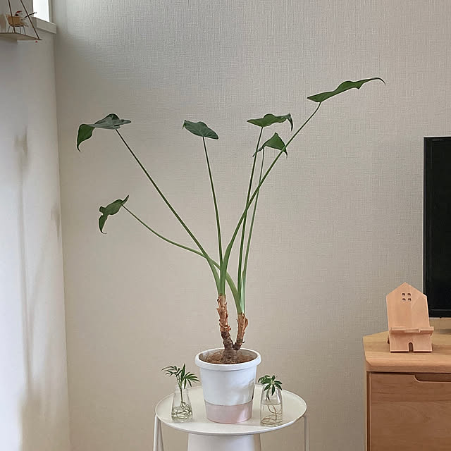 suna_kitsuneさんの実例写真
