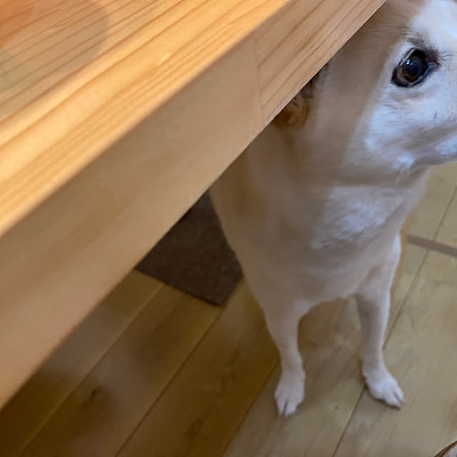 tanboさんの部屋
