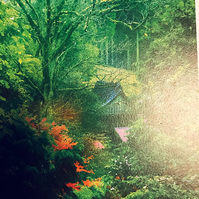 kanaさんの実例写真