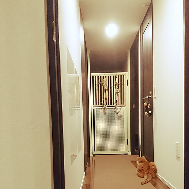 Sachiさんの実例写真